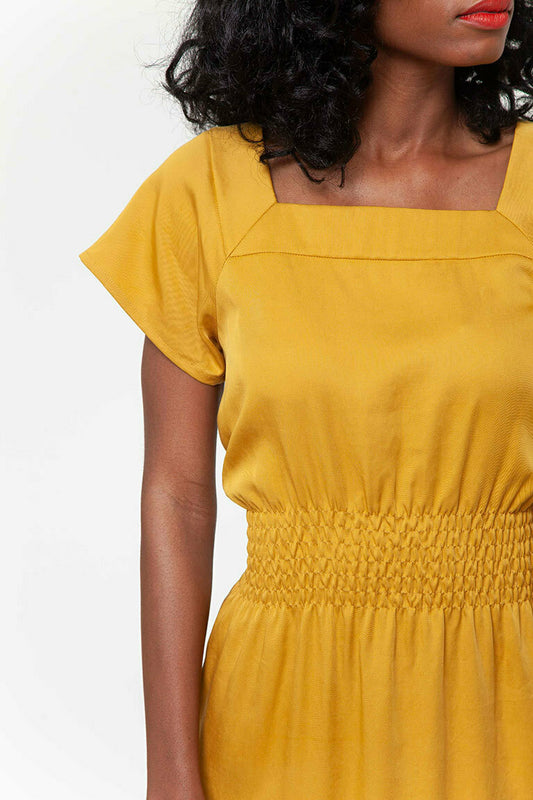 Carter Elastic Shirring Dress