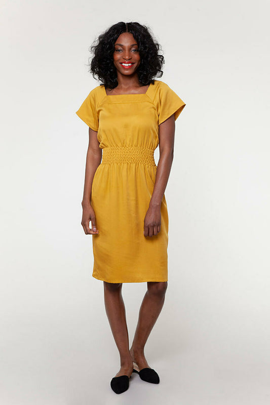 Carter Elastic Shirring Dress