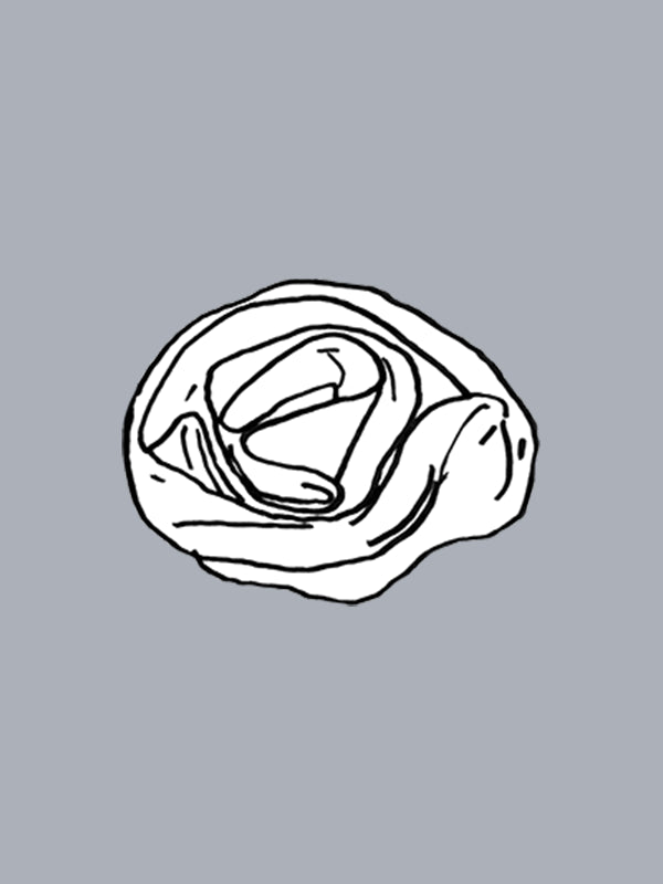 Black and white illustration of a rose on a gray background