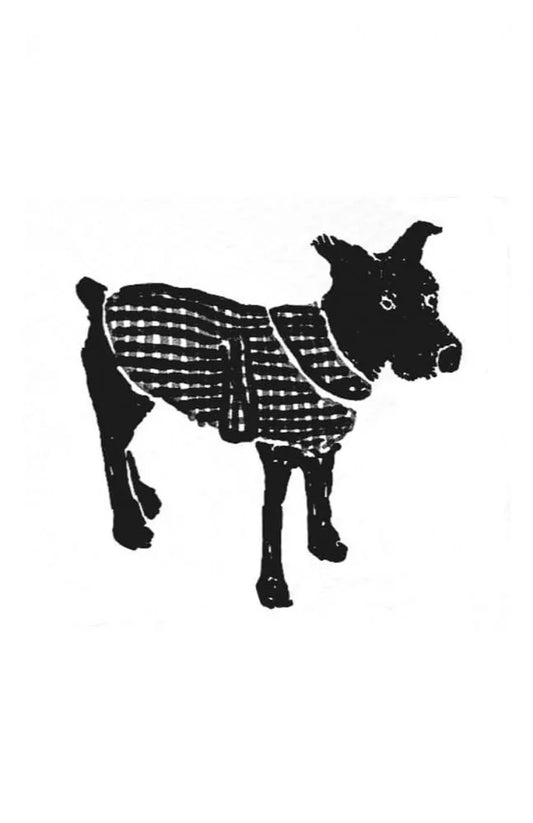 Barka Dog Coat