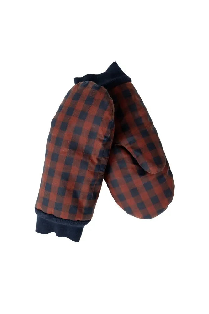 Pair of plaid mittens on a white background
